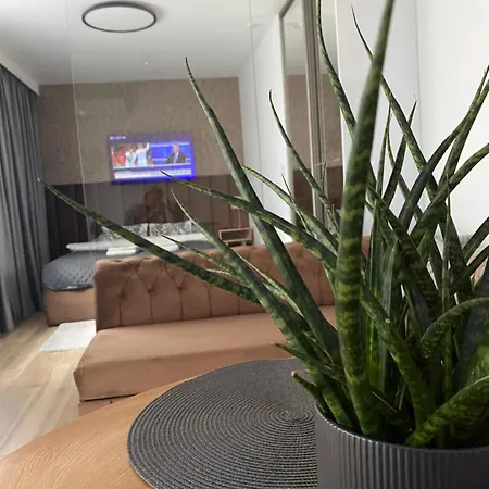 Apartment Bulvary Nad Odra *